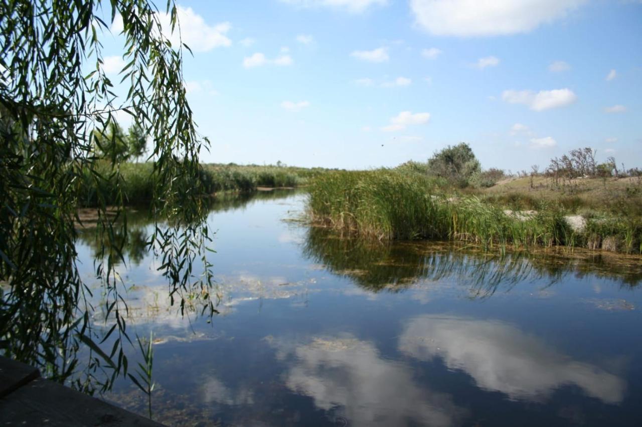 Pensiunea Delta Drill Sfântu Gheorghe Exterior foto